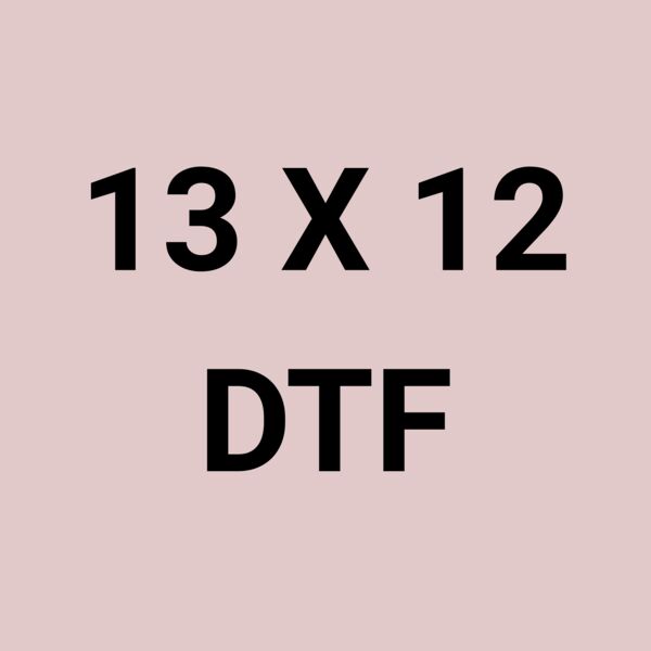 Same Day instant 13 X 12 DTF Sheet Thumbnail