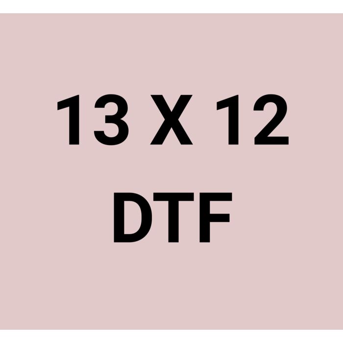 Same Day instant 13 X 12 DTF Sheet Thumbnail